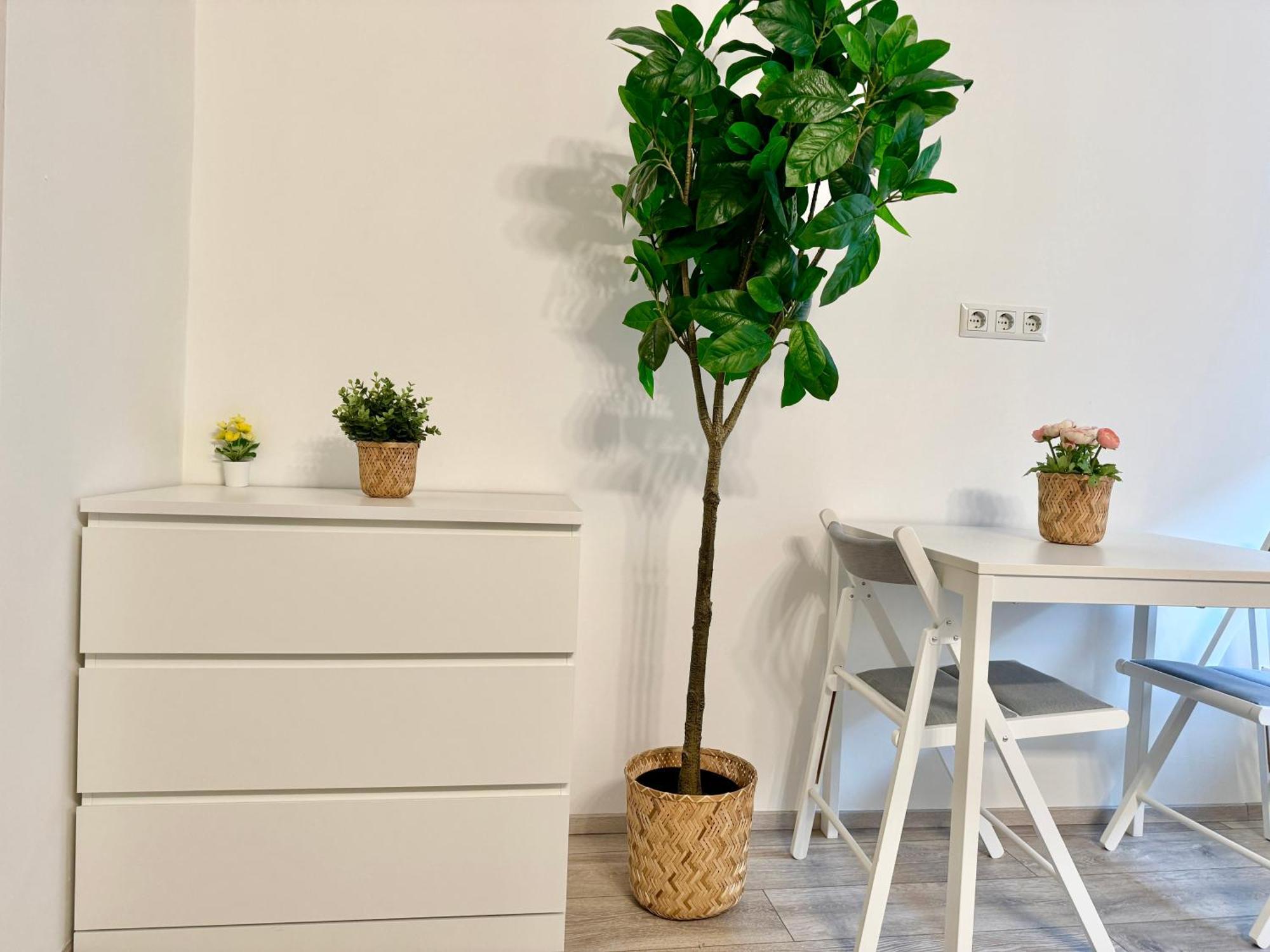 Cosy Schoenbrunn - Free Underground Parking Apartment Wien